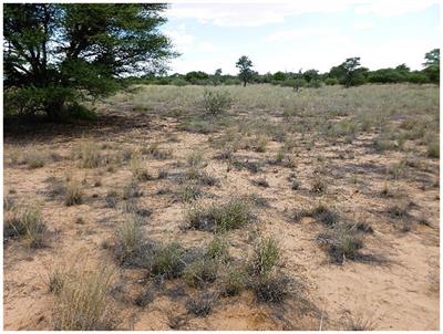 Spatial organisation of fungi in soil biocrusts of the Kalahari is related to bacterial community structure and may indicate ecological functions of fungi in drylands